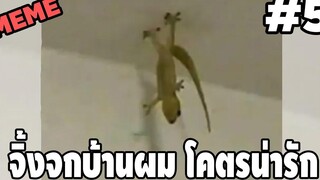 ภาพนี้ก็ฮาเหมือนกันนะเนี่ย 5 SS2 พากย์นรก MEMEEXE easy boy