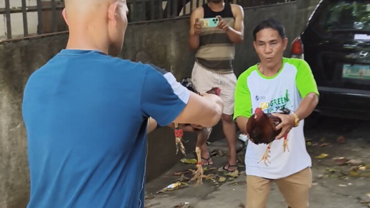 Bulag na pinantay tahid pa