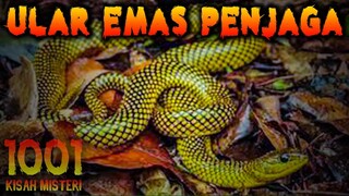 🔴 10- ULAR EMAS PENJAGA RUMAH OM CECEP | PODCAST 1001 KISAH