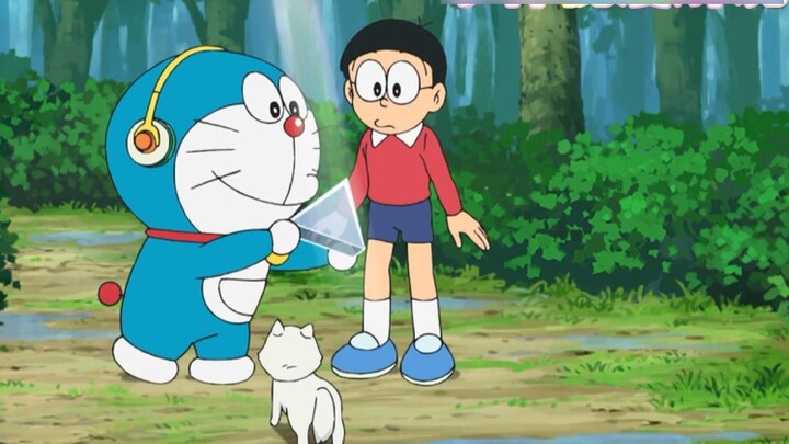 Seekor kucing rakun besar berwarna pelangi. Fatty Blue adalah seekor musang biru besar! ! ! Hangat-h