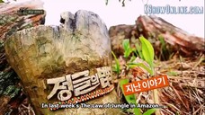 law of the jungle ep 48
