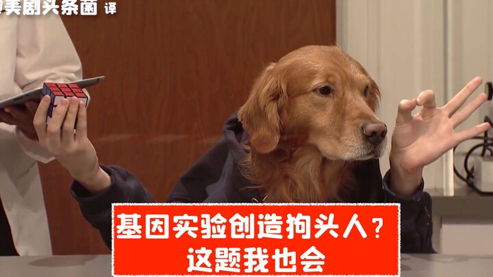 【SNL nội dung cũ】Thí nghiệm người đầu chó