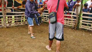 Anak nang #2 winner