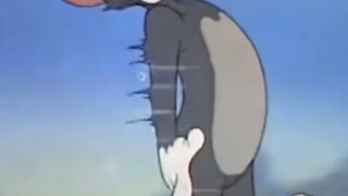 #Famous scenes of cat and mouse#Cat and dog fights#Pain in the balls