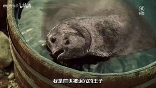 渔夫打捞上来一条奇怪的鱼~