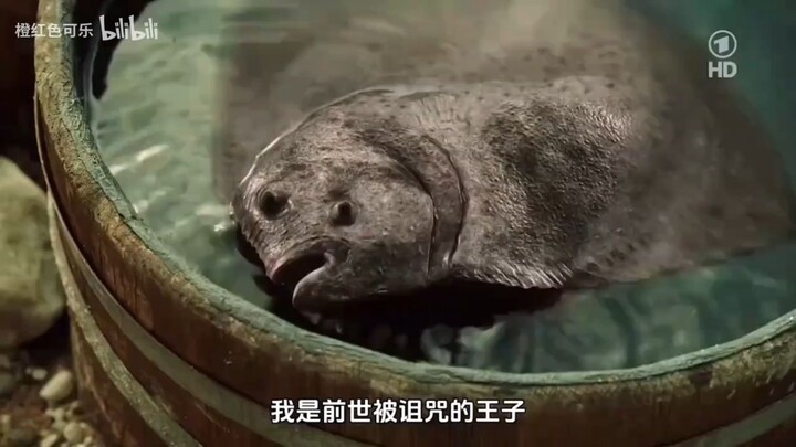 渔夫打捞上来一条奇怪的鱼~