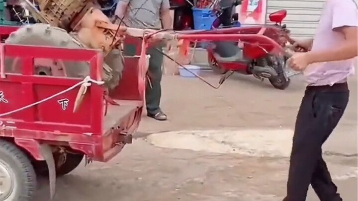 Don’t casually copy the wisdom of the working people!