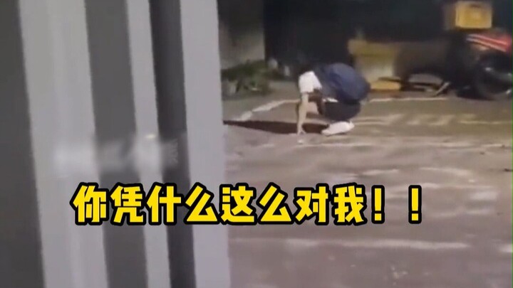 Hóa ra phim truyền hình Nhật Hàn lại là phim tài liệu à?