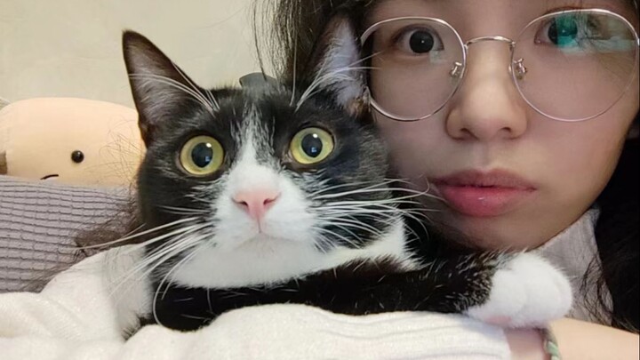 Memelihara kucing adalah untuk membuktikan bahwa di dunia ini ada cinta yang tak bersyarat!