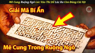 Vô Tình Lạc Vào Mê Cung Trong Ruộng Ngô Cả Nhóm Còn Lại Cái Nịt