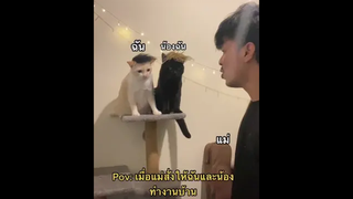 พ่อในแต่ละวัน55555