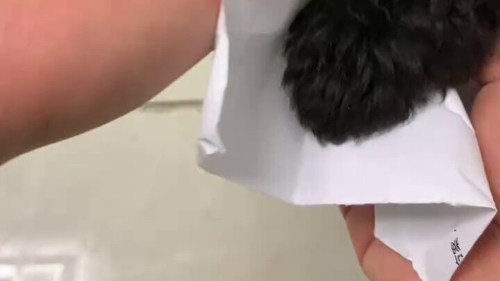 As children grow up, they should be exposed to some things as early as possible.