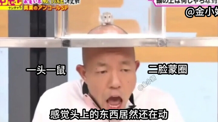 If you quietly place an animal on someone’s bald head, do you think they can guess what it is?