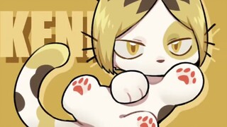【Volleyball All Beasts】