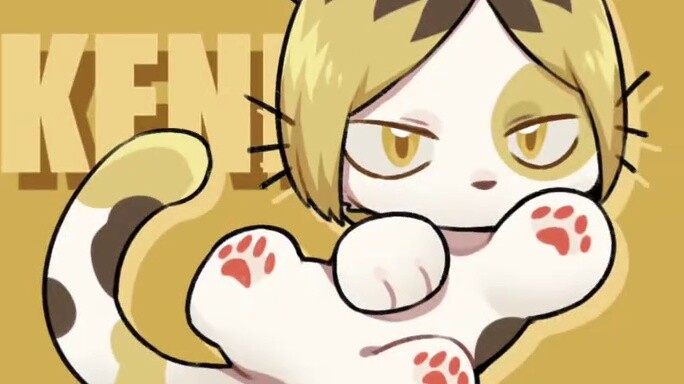 【Volleyball All Beasts】