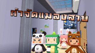 กำจัดแมลงสาบ