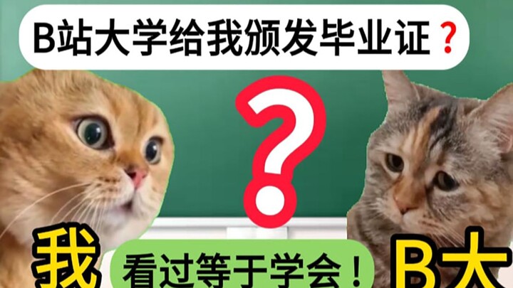 【猫meme】不是？原来00后都这么上大学的？