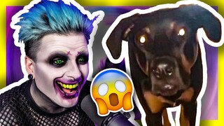 TRY NOT TO LAUGH AT PERFECTLY CUT SCREAMS 2