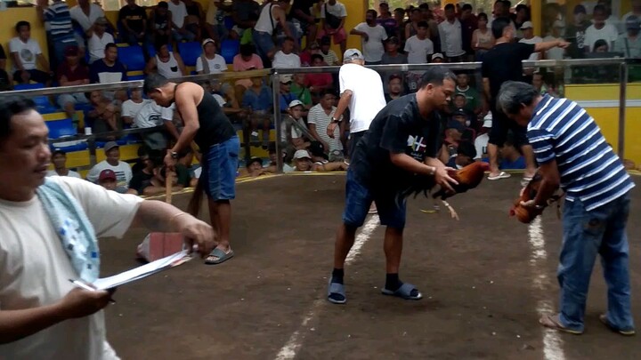 1st Fight Win 3hits Ulutan