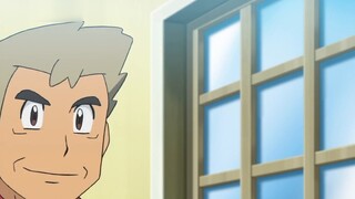 Pokémon Zhuzi: Here we go! Will the three starters appear for three consecutive weeks? The surprise 