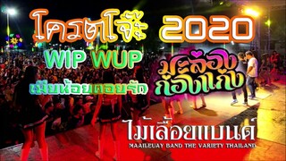 โครตโจ๊ะ2020 วิบวับ มะลองกองแกง เมียน้อย แสดงสดวงไม้เลื้อยแบนด์