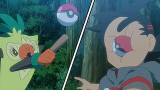 Pokémon Journey 101, the one-ball man was beaten, it was really satisfying