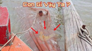 Một Ngày Theo Cha Te Tôm Cá Trên Biển | Ngư Dân Miền Tây