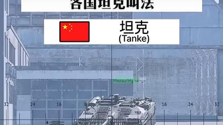 Tiba-tiba aku merasa nama-nama tank dalam game ini semua memiliki makna