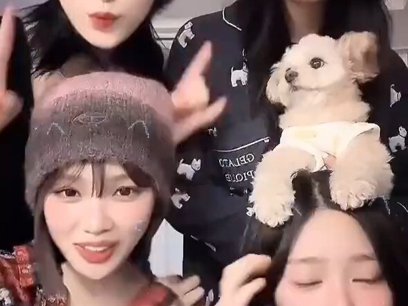 【Kombinasi Empat Orang】Choi Yena, Kwon Eunbi, Kim Chaewon, Kim Minju «NEMONEMO»