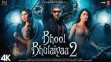Bhool Bhulaiyaa 2 2022 Movie
