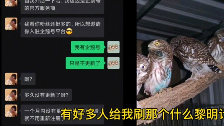 Tencent Penguin Number’s “Dawn Project”—it turns out I’ve already encountered it…