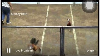 Natividad Victoria entry (StanSid Dom) at the San Pedro Coliseum