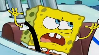 【SpongeBob SquarePants】Have you seen Patrick Star’s driver’s license? Watch the large-scale Versaill