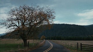 Significant other (alien movie)