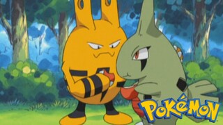 Pokémon Tập 263: Nanako Và Elekid! (Thuyết Minh)
