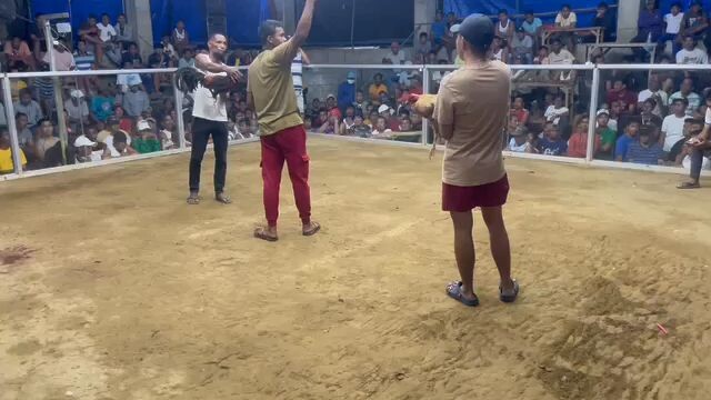 AMMO LINO DOME WIN 3HITS SPCA 3-10-2024 (1-0-0) naglaro naman lahat kaso kinulang sa swerte