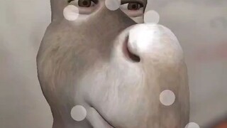 damn hockey and sherk