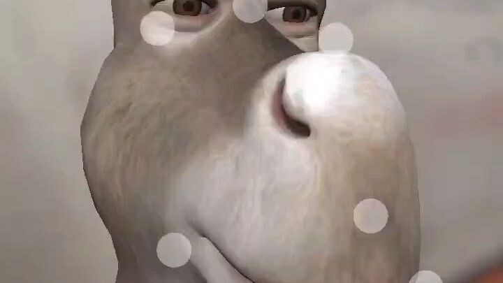 damn hockey and sherk