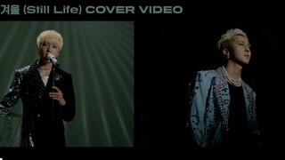 WINNER宋旻浩+姜昇润Cover BIGBANG【春夏秋冬】视频公开