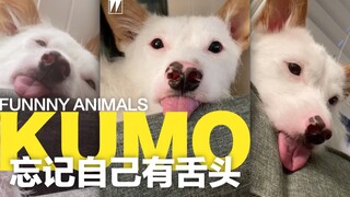 你的舌头已经干掉了！