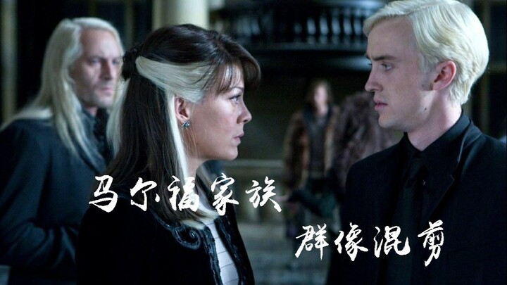 【HP】【马尔福家族】惊鸿一面/马尔福家族群像混剪（舔颜向）（德拉科·马尔福0605生日快乐）