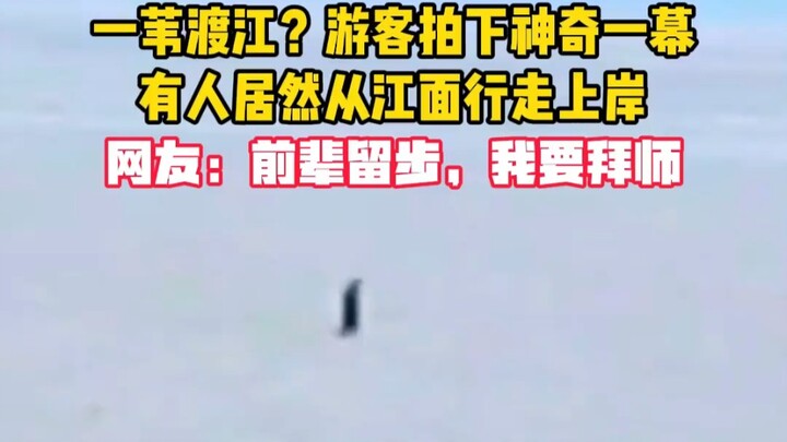 一苇渡江？游客拍下神奇一幕，有人居然从江面行走上岸