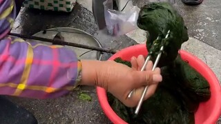 أداة سحرية لتناول الطعام لدى شعب فوجيان