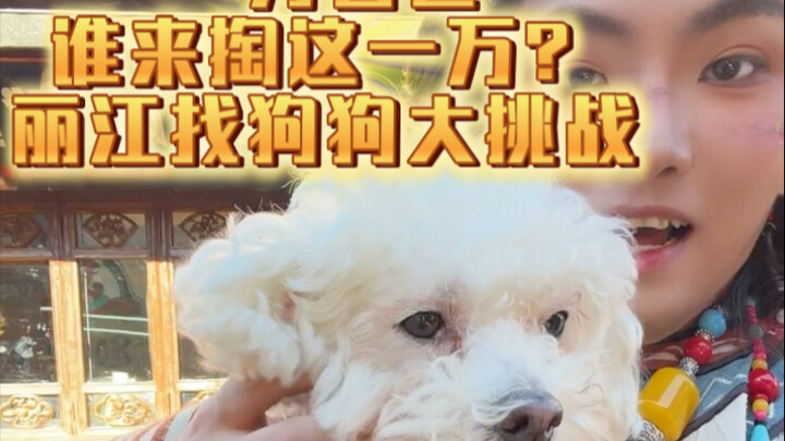 شو التحديات اللي بتحب تشوفها في تشنغدو؟ اكتب تعليق! أنا أدعوكم على العشاء، 10 آلاف يوان للحلقة! المح