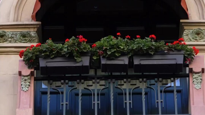 Salt-Sprinkling Brother's New Restaurant