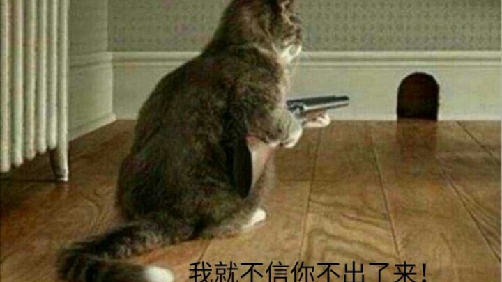 【One Post a Day to Prevent Depression】What Happens When Animals Turn into Spirits? (Part 3: A Roundu