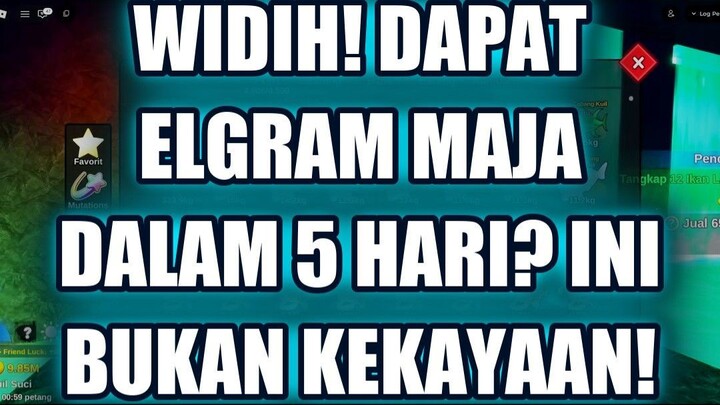 💥 WIDIH! DAPAT ELGRAM MAJA DALAM 5 HARI? INI BUKAN KEKAYAAN!