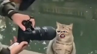 真是醉了