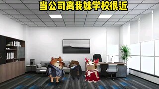 当妹妹的学校离我上班地方很近