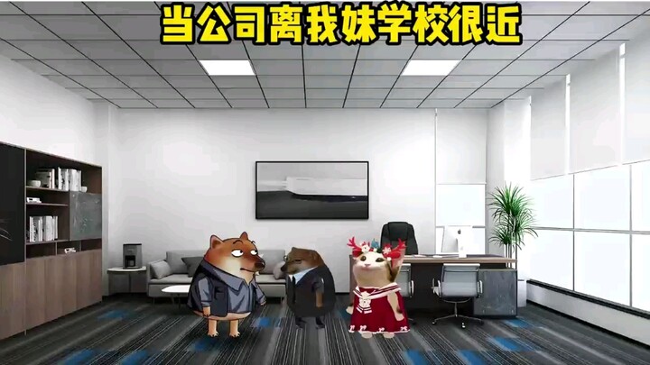当妹妹的学校离我上班地方很近